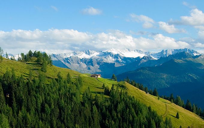 Grossarltaler Alm im Sommer